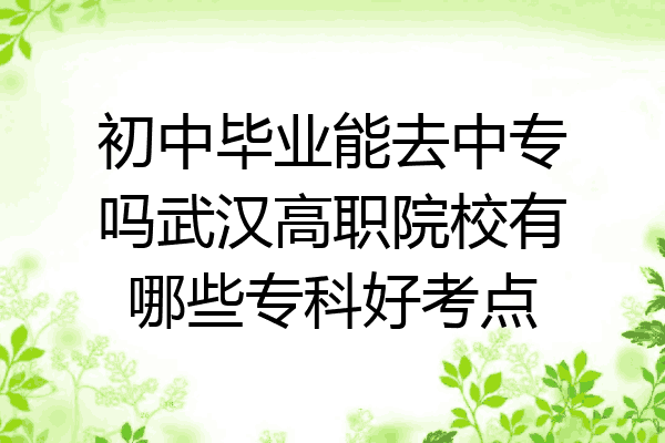 初中毕业能去中专吗武汉高职院校有哪些专科好考点