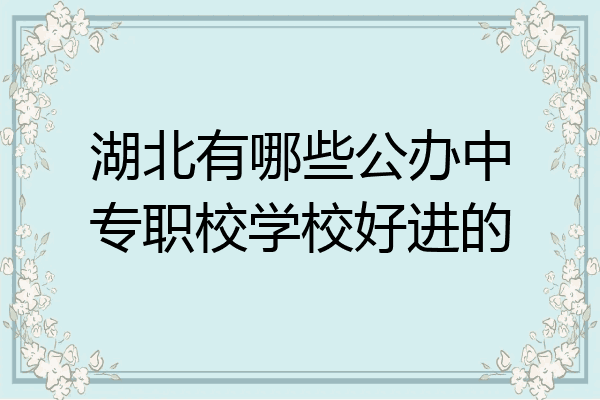 湖北有哪些公办中专职校学校好进的