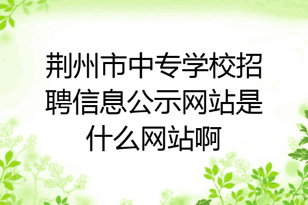 荆州市中专学校招聘信息公示网站是什么网站啊
