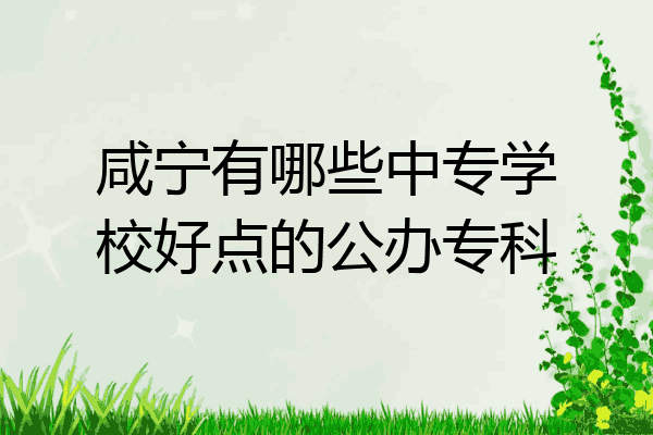 咸宁有哪些中专学校好点的公办专科