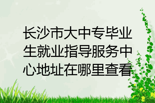 长沙市大中专毕业生就业指导服务中心地址在哪里查看
