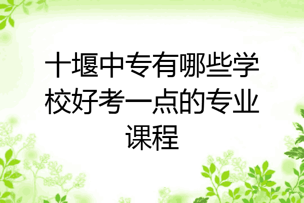 十堰中专有哪些学校好考一点的专业课程