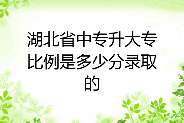 湖北省中专升大专比例是多少分录取的