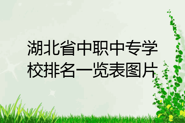 湖北省中职中专学校排名一览表图片