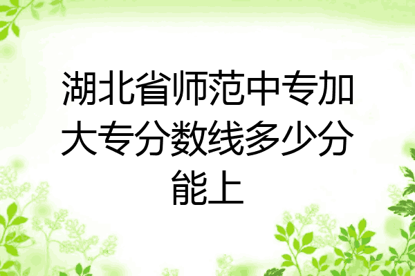 湖北省师范中专加大专分数线多少分能上