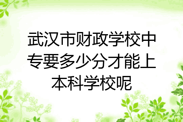 武汉市财政学校中专要多少分才能上本科学校呢
