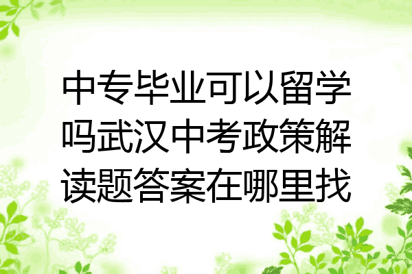 中专毕业可以留学吗武汉中考政策解读题答案在哪里找