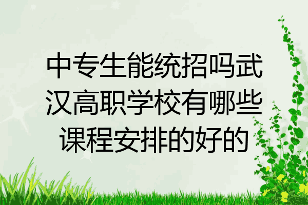 中专生能统招吗武汉高职学校有哪些课程安排的好的