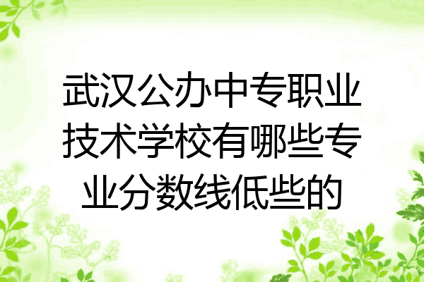 武汉公办中专职业技术学校有哪些专业分数线低些的