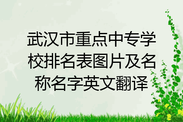 武汉市重点中专学校排名表图片及名称名字英文翻译