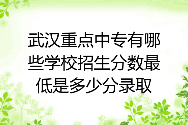 武汉重点中专有哪些学校招生分数最低是多少分录取
