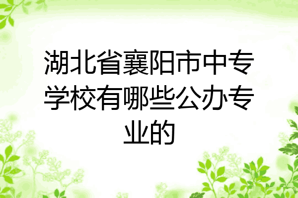 湖北省襄阳市中专学校有哪些公办专业的
