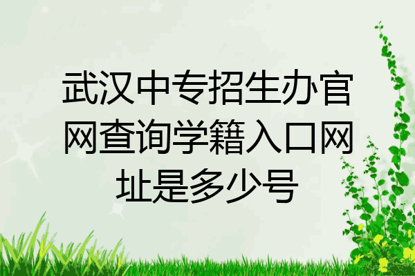 武汉中专招生办官网查询学籍入口网址是多少号