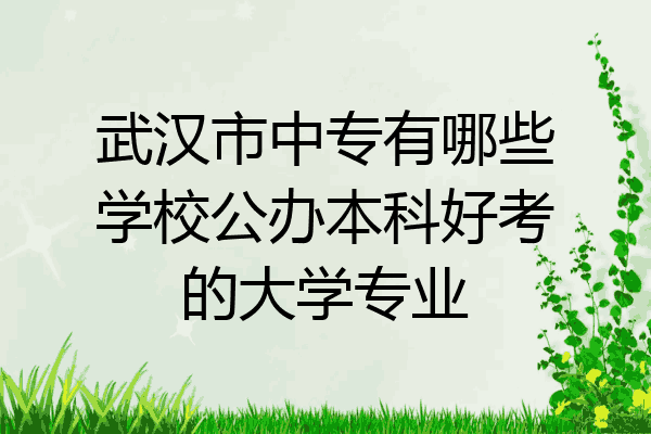 武汉市中专有哪些学校公办本科好考的大学专业