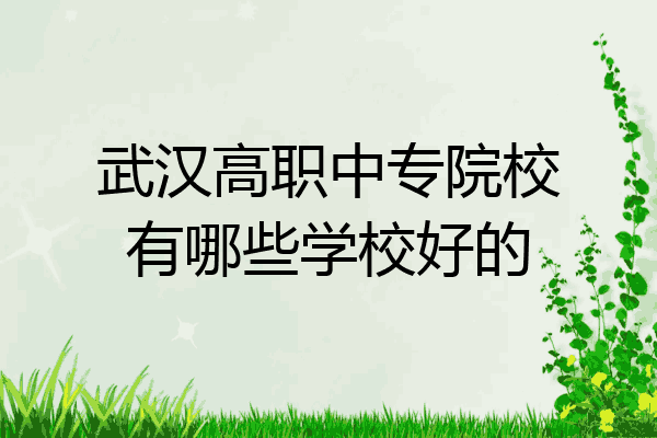 武汉高职中专院校有哪些学校好的