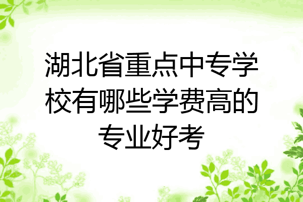 湖北省重点中专学校有哪些学费高的专业好考