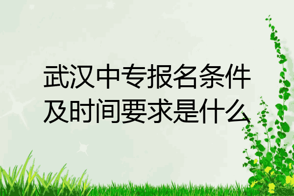 武汉中专报名条件及时间要求是什么