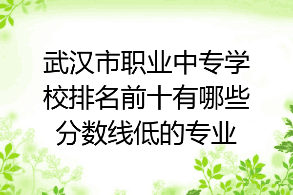 武汉市职业中专学校排名前十有哪些分数线低的专业