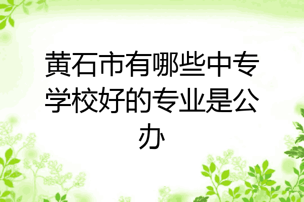 黄石市有哪些中专学校好的专业是公办
