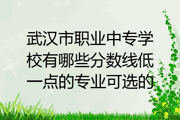武汉市职业中专学校有哪些分数线低一点的专业可选的