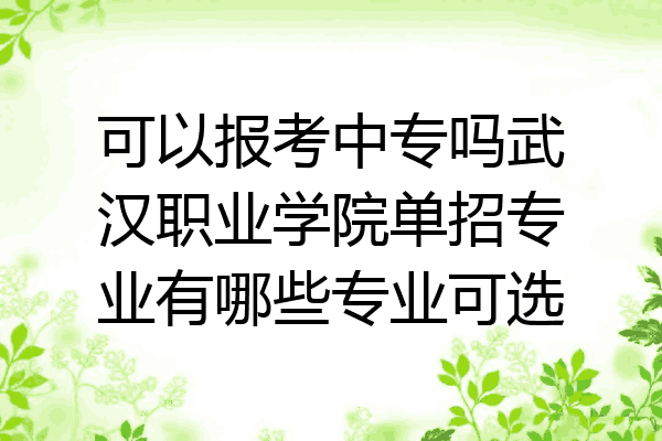可以报考中专吗武汉职业学院单招专业有哪些专业可选