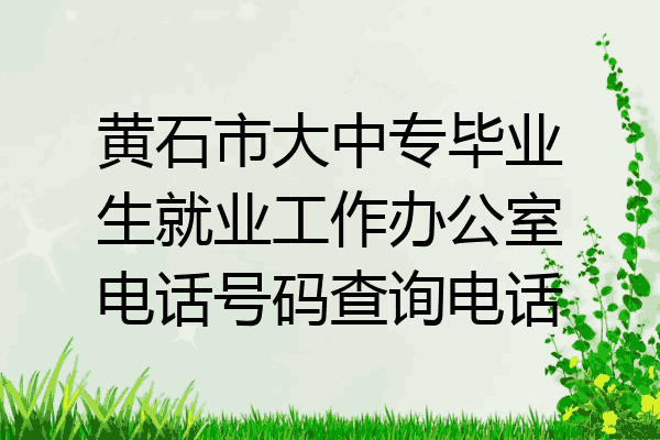 黄石市大中专毕业生就业工作办公室电话号码查询电话