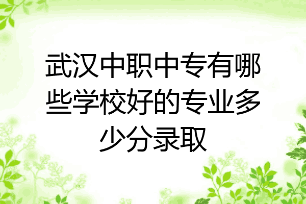 武汉中职中专有哪些学校好的专业多少分录取