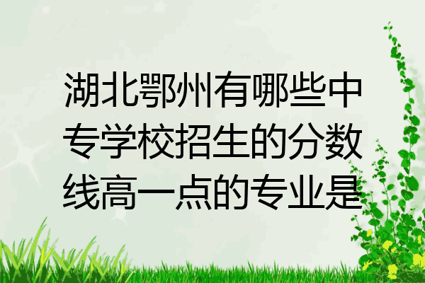 湖北鄂州有哪些中专学校招生的分数线高一点的专业是