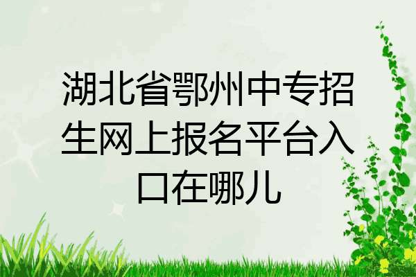 湖北省鄂州中专招生网上报名平台入口在哪儿