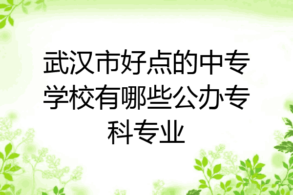 武汉市好点的中专学校有哪些公办专科专业