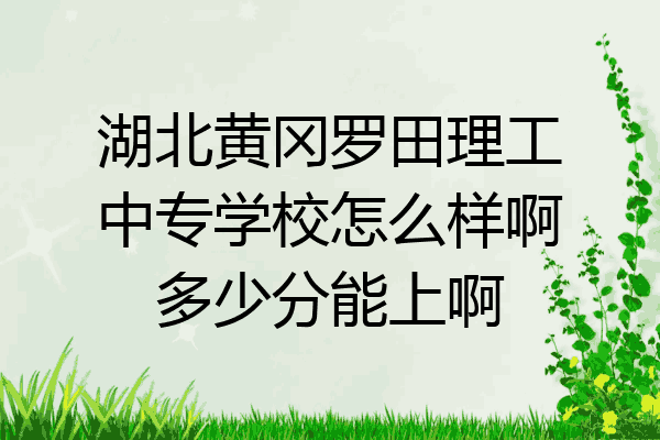 湖北黄冈罗田理工中专学校怎么样啊多少分能上啊