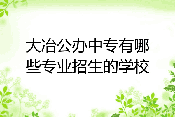 大冶公办中专有哪些专业招生的学校