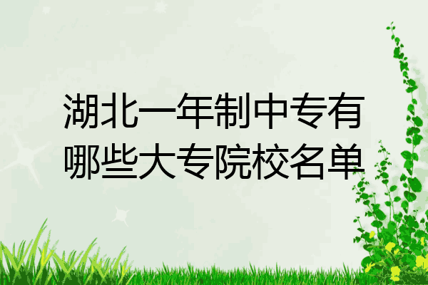 湖北一年制中专有哪些大专院校名单