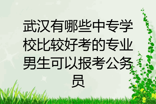 武汉有哪些中专学校比较好考的专业男生可以报考公务员