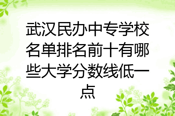 武汉民办中专学校名单排名前十有哪些大学分数线低一点