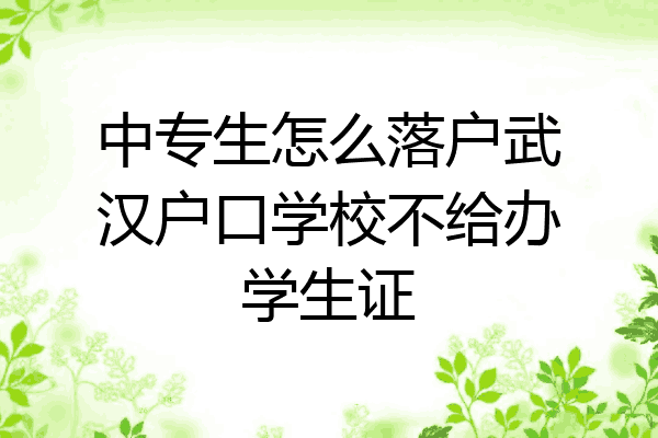 中专生怎么落户武汉户口学校不给办学生证