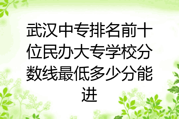 武汉中专排名前十位民办大专学校分数线最低多少分能进