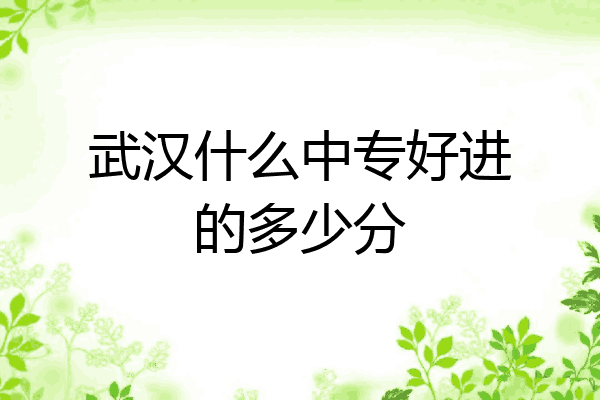 武汉什么中专好进的多少分