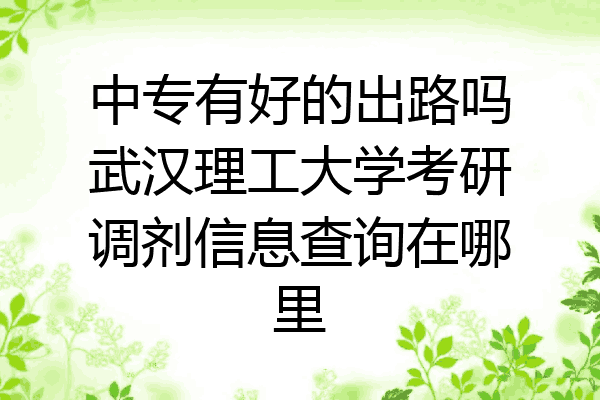 中专有好的出路吗武汉理工大学考研调剂信息查询在哪里