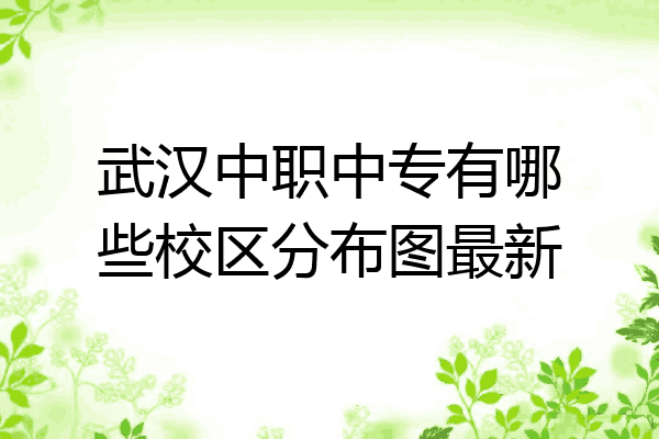 武汉中职中专有哪些校区分布图最新