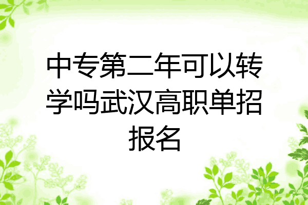 中专第二年可以转学吗武汉高职单招报名