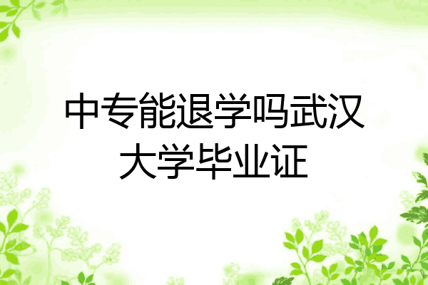 中专能退学吗武汉大学毕业证