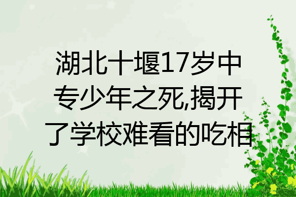 湖北十堰17岁中专少年之死,揭开了学校难看的吃相