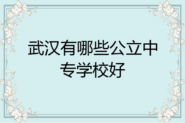 武汉有哪些公立中专学校好