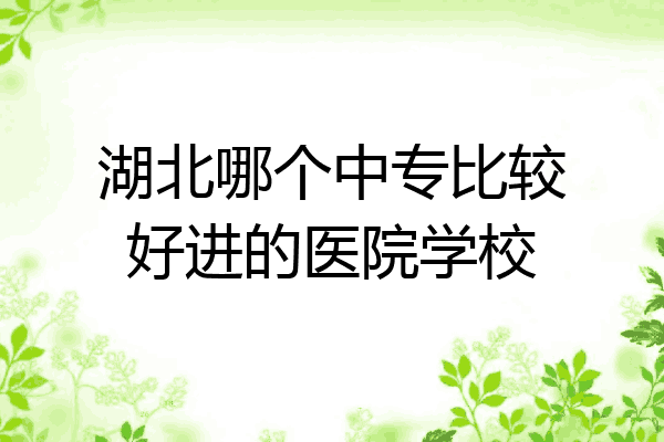湖北哪个中专比较好进的医院学校