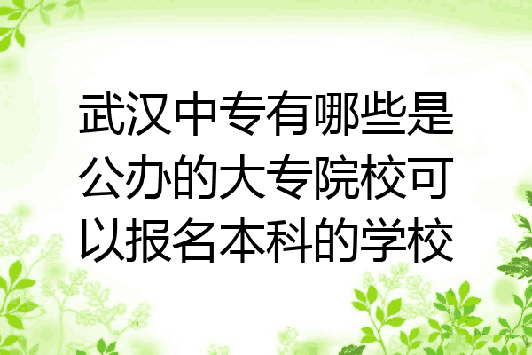 武汉中专有哪些是公办的大专院校可以报名本科的学校