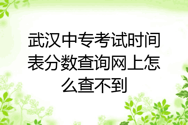 武汉中专考试时间表分数查询网上怎么查不到