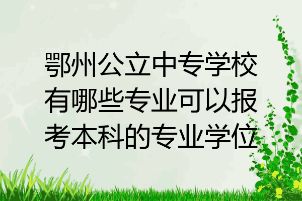 鄂州公立中专学校有哪些专业可以报考本科的专业学位