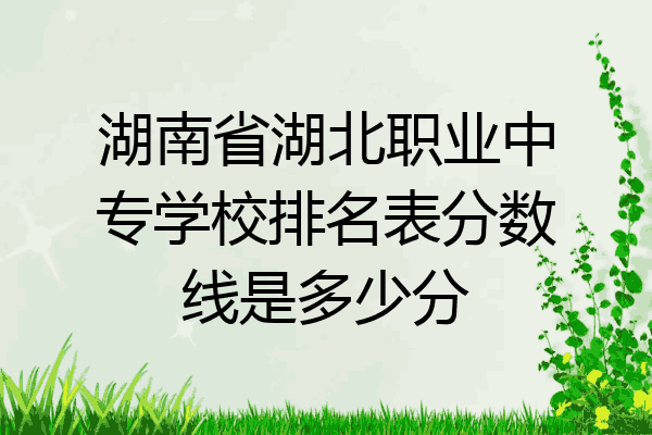 湖南省湖北职业中专学校排名表分数线是多少分