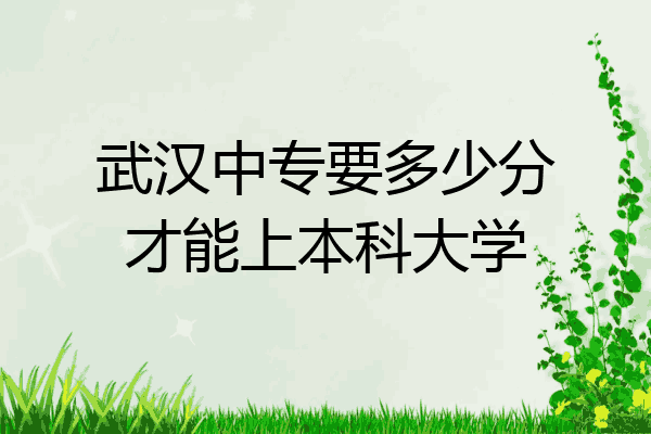 武汉中专要多少分才能上本科大学